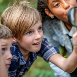 Gruppenlogo von Gruppenaktivitäten mit Kindern